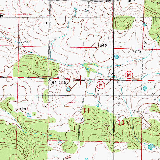 Topographic Map of Shady Grove, MO