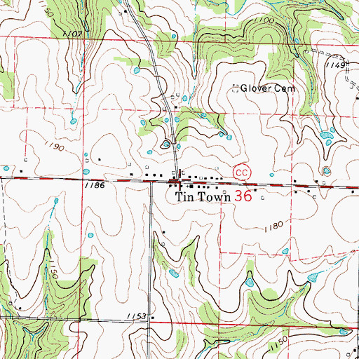 Topographic Map of Tin Town, MO