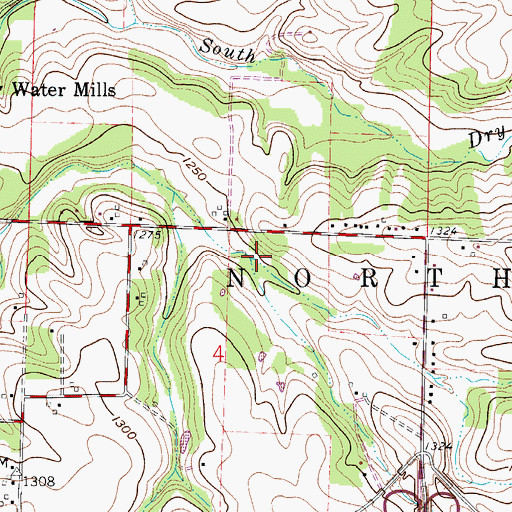 Topographic Map of Brown Branch, MO