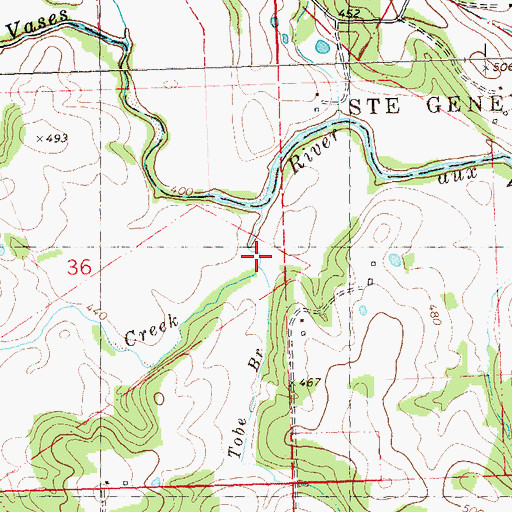 Topographic Map of Tube Branch, MO