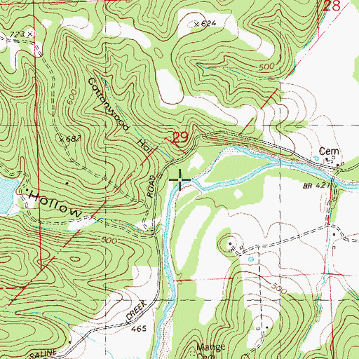 Topographic Map of Cottonwood Hollow, MO