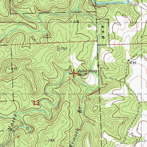 Topographic Map of Wild Hog Bluff, MO