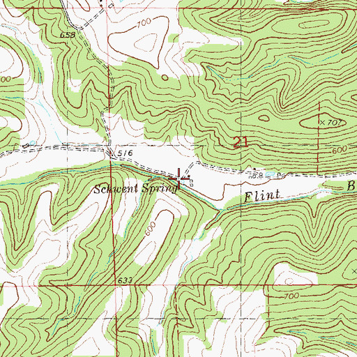 Topographic Map of Schwent Spring, MO