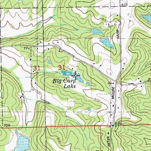 Topographic Map of Big Carp Lake, MO