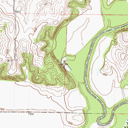 Topographic Map of Skinner Lake, MO