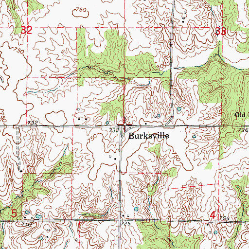 Topographic Map of Burksville, MO