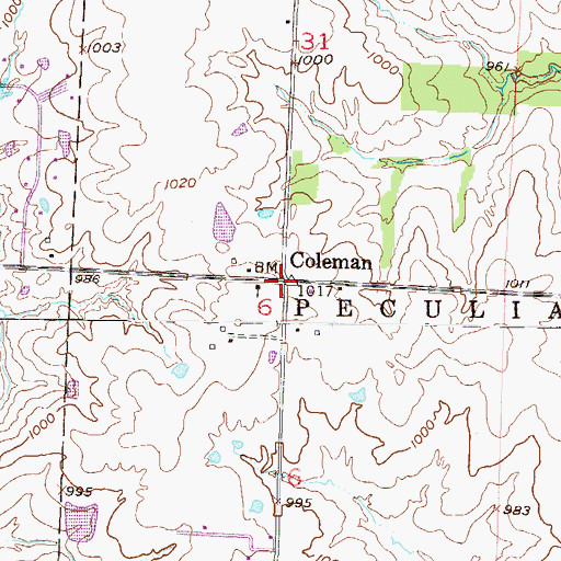 Topographic Map of Coleman, MO