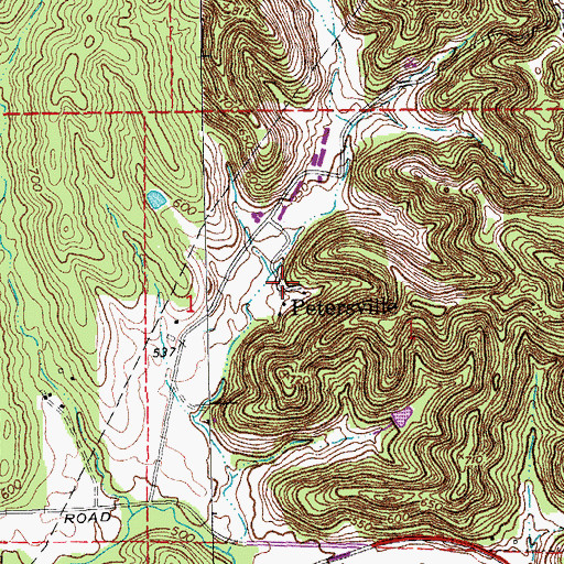 Topographic Map of Petersville, MO