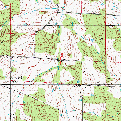 Topographic Map of Cook School, MO