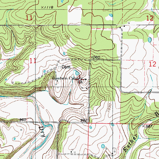 Topographic Map of Goodwin School, MO