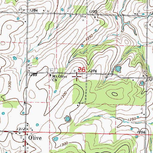 Topographic Map of Olive School, MO