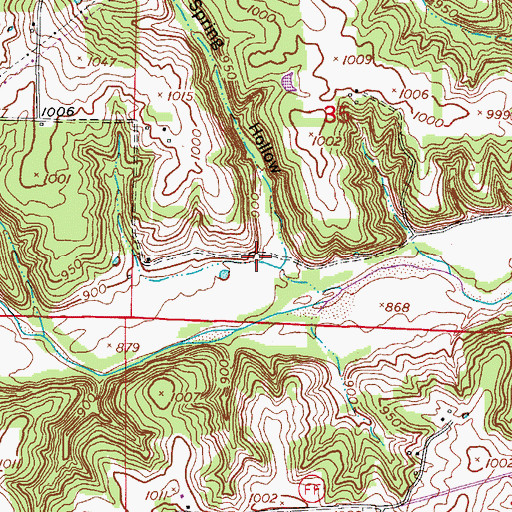 Topographic Map of Cave Spring Hollow, MO