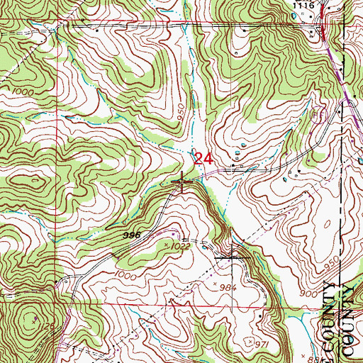 Topographic Map of Cottonwood Branch, MO