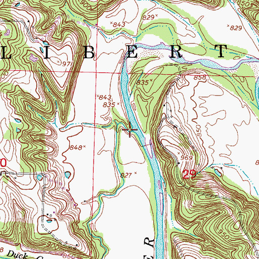 Topographic Map of Duck Creek, MO