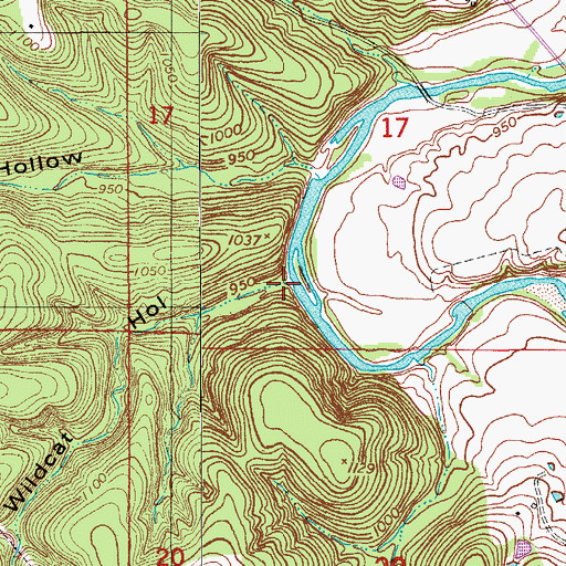 Topographic Map of Wildcat Hollow, MO