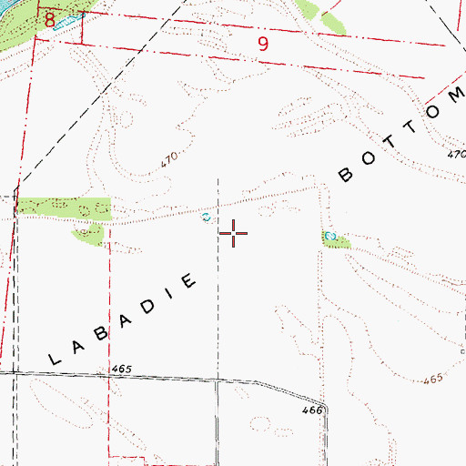 Topographic Map of Labadie Bottoms, MO