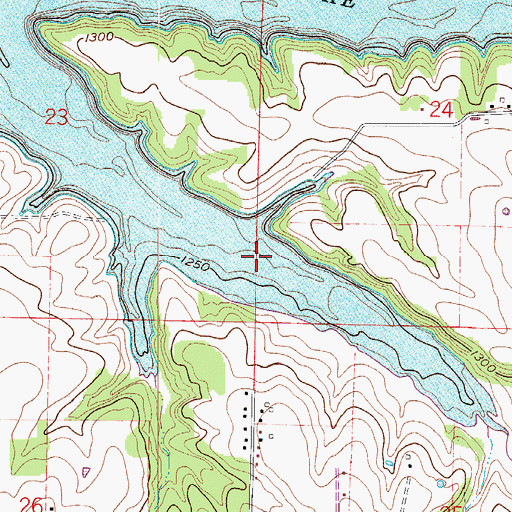 Topographic Map of Fellows Lake, MO