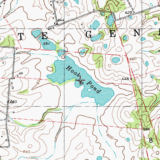 Topographic Map of Hook Pond, MO