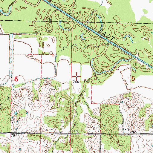 Topographic Map of Salt River Airport (historical), MO