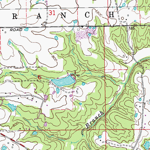 Topographic Map of Carla Company Section 6 Dam, MO