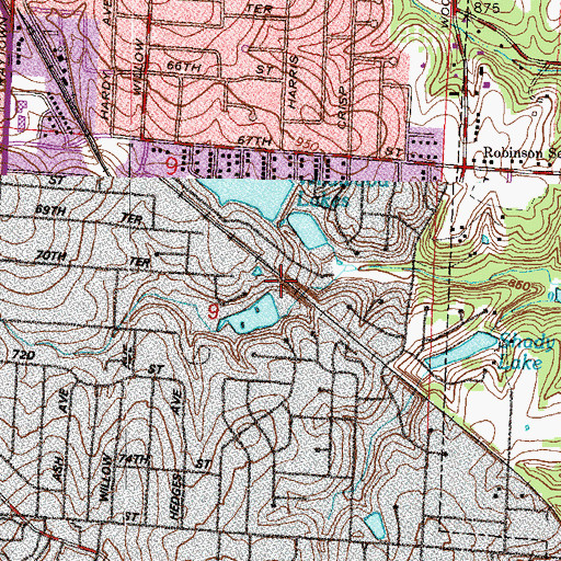 Topographic Map of Wildwood Dam, MO