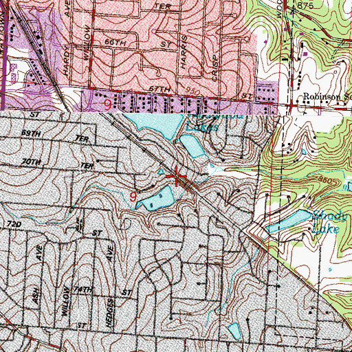 Topographic Map of Wildwood Lake, MO