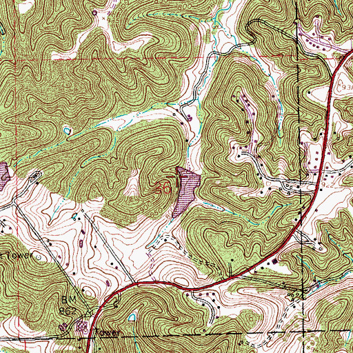 Topographic Map of Cole Lake, MO