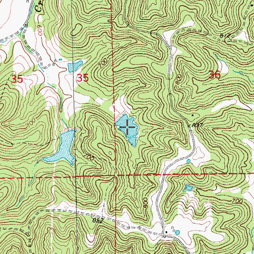 Topographic Map of Little Lake in the Woods, MO