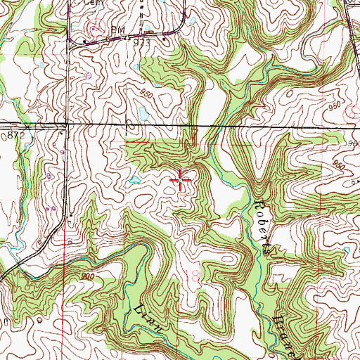 Topographic Map of Township of Hardin, MO