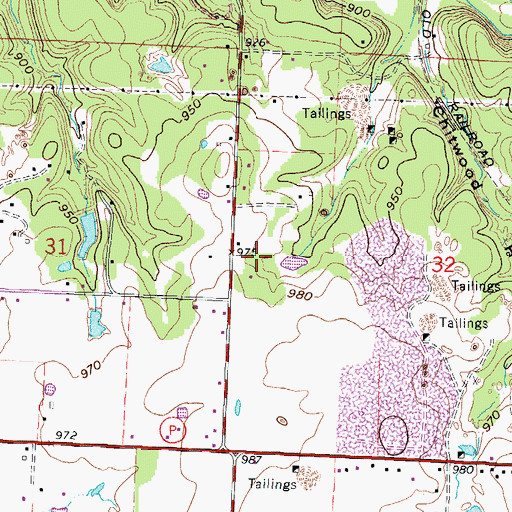 Topographic Map of Township of Galena, MO