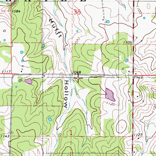 Topographic Map of Township of Auglaize, MO
