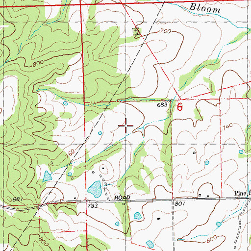 Topographic Map of Township of Saline, MO
