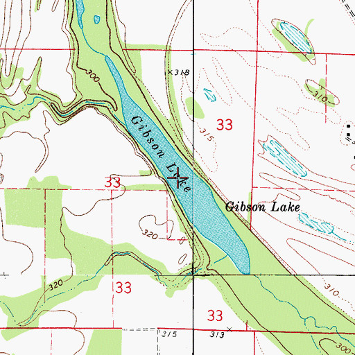Topographic Map of Gibson Lake, AR