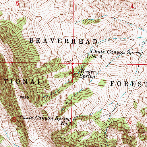 Topographic Map of Keefer Spring, MT