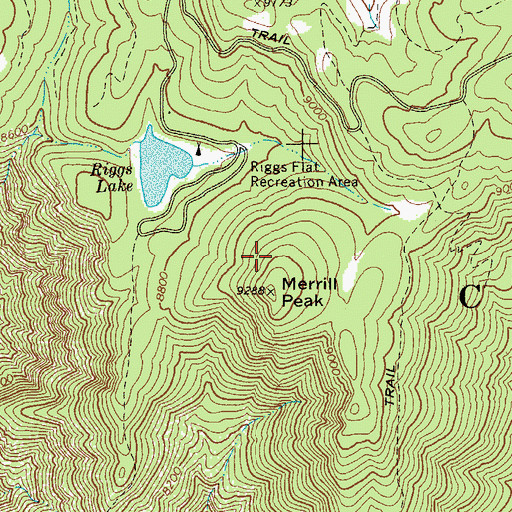 Topographic Map of Merrill Peak, AZ