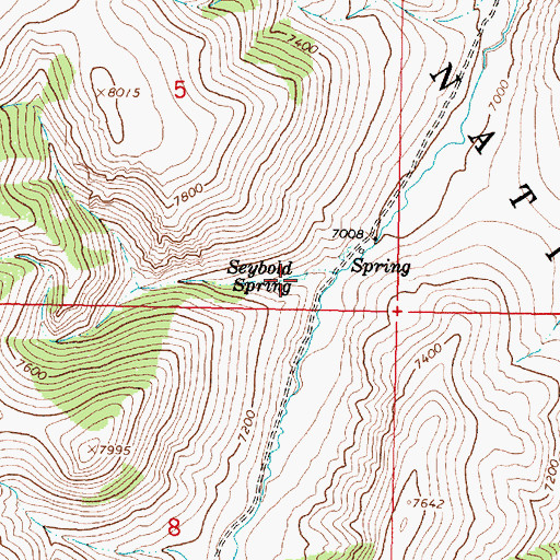 Topographic Map of Seybold Spring, MT