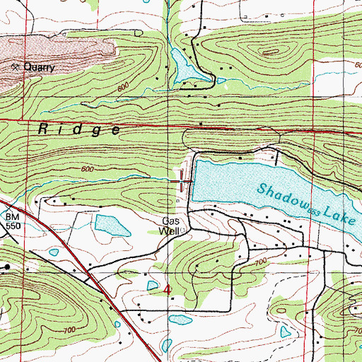 Topographic Map of Shadow Lake Dam, AR