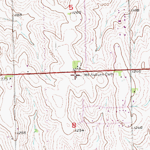 Topographic Map of Mount Auburn Cemetery, NE