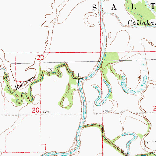 Topographic Map of Robinson Branch, NE