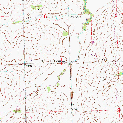 Topographic Map of Schultz Cemetery, NE