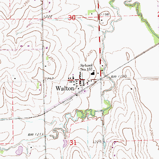 Topographic Map of Walton, NE