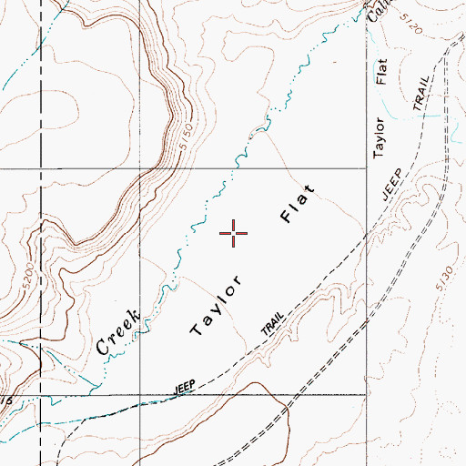 Topographic Map of Taylor Flat, NV