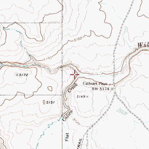 Topographic Map of Calico Creek, NV