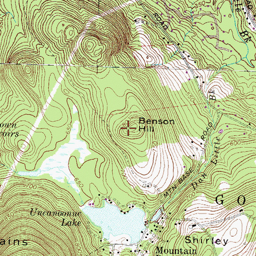 Topographic Map of Benson Hill, NH