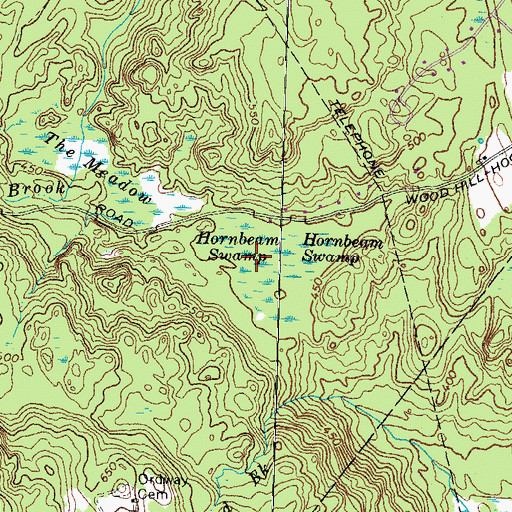 Topographic Map of Hornbeam Swamp, NH