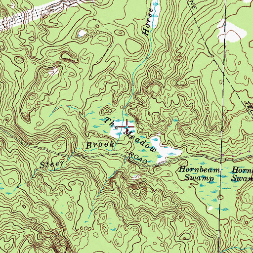 Topographic Map of The Meadow, NH