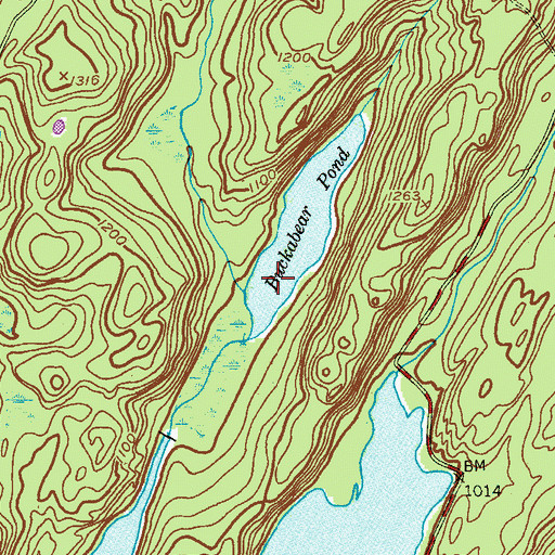 Topographic Map of Buckabear Pond, NJ