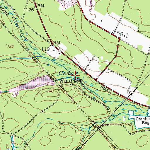 Topographic Map of Cedar Swamp, NJ