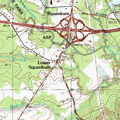Topographic Map of Lower Squankum, NJ