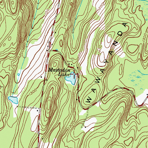 Topographic Map of Mastodon Lake, NJ